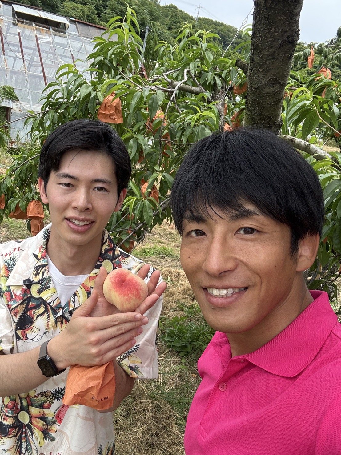桃の入荷は農家様から直送🍑
